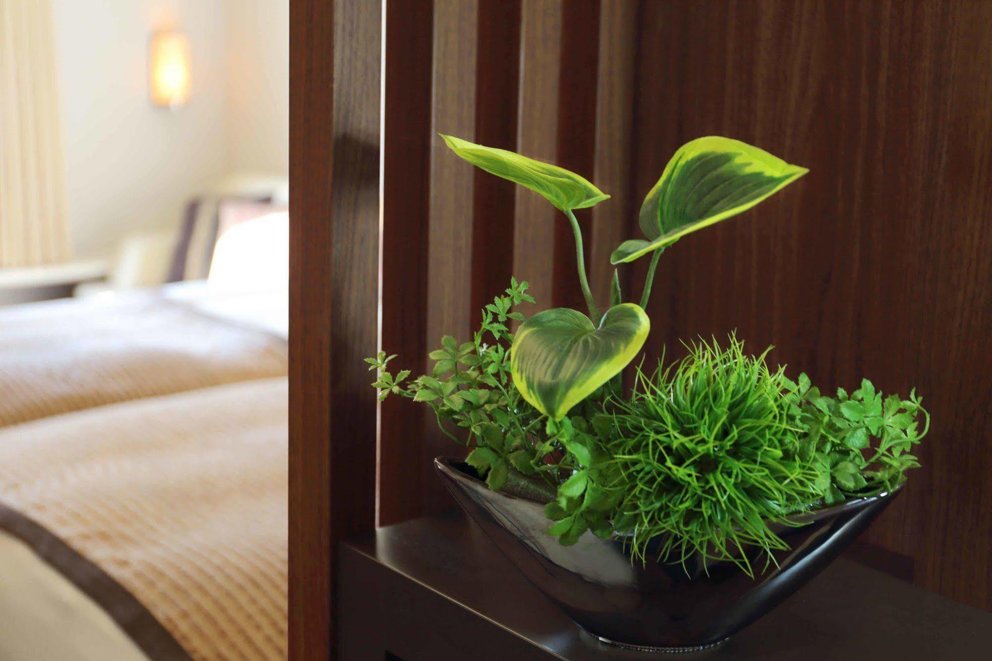 צ'יבה Tokyo Bay Maihama Hotel מראה חיצוני תמונה